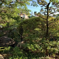 京味 もと井 - 