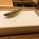 Tempura Miyashiro - 