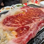 大衆切り落とし焼肉酒場 ハネモン屋 - 