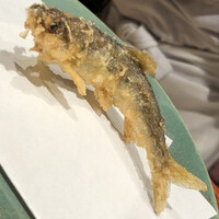 江戸前晋作 - 天竜川の若鮎