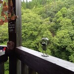 あまてらすの隠れcafe - 店内