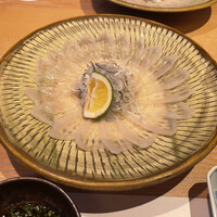 臼杵ふぐ 山田屋 丸の内 - フグ刺し