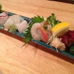 ニューメェイル - お造り盛り合せ