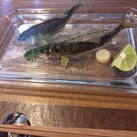 りょうりや 御旅屋 - 