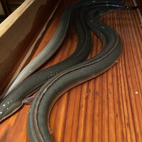 にょろ助 銀座 - 