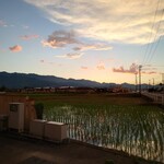 アルバトロス - 