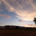 アルバトロス - 