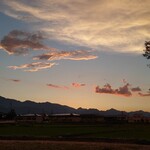 アルバトロス - 