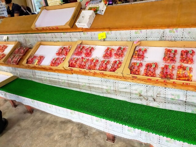 曲屋果樹園 - 平野（その他）の写真