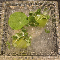 鮨 さえ喜 - 