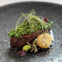 MAISON LAFITE - 