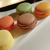 Bar&Lounge MAJESTIC -  Bar&Lounge MAJESTIC -