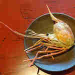 御料理ふじ居 - ボタンエビ