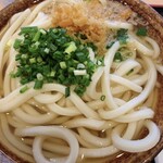 讃岐うどん 條辺 - かけうどん2玉