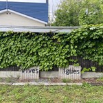 エグ・ヴィヴ - 