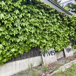 エグ・ヴィヴ - 