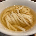 Udon Izakaya Edobori - 見るからに美味そうな太麺、そして500gの迫力よ