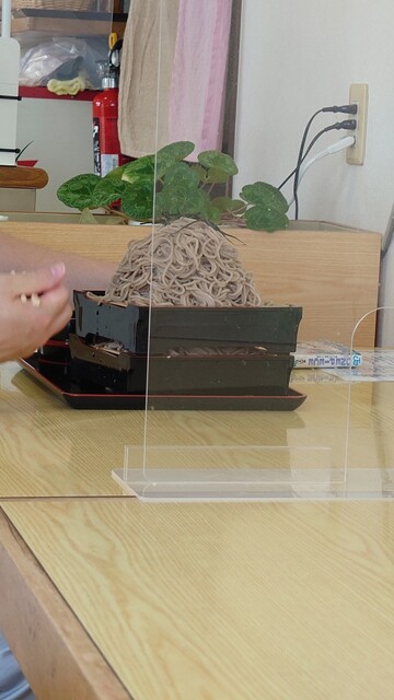 たばしね庵（典山坊 束稲庵） - 平泉（ラーメン）の写真