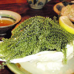 うりずん - 海ぶどう 時価