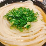 うどん 丸香 - 冷かけうどん♬