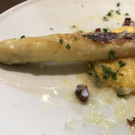 ル・コントワー・ドゥ・スギ - 