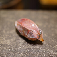 鮨 なんば 日比谷 - 鯵