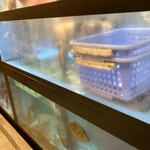 第8八千代丸 - 生簀あります　あ、カワハギさんが捕まる