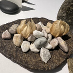 ラ・ヴァガボンド - 