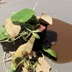 ラ・ヴァガボンド - 