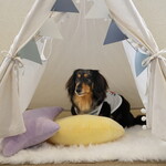 ホテル インターコンチネンタル 東京ベイ - ドッグフレンドリーラウンジ