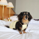 ホテル インターコンチネンタル 東京ベイ - 