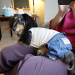 ホテル インターコンチネンタル 東京ベイ - 