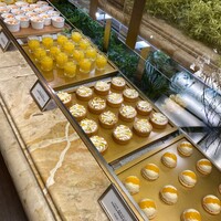 スプレンディード - 