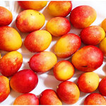 クレープリー チロル - 