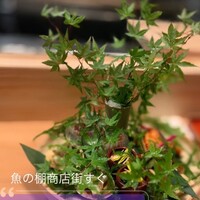 すしと天ぷら 坂本 - 