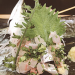 Sushizammai - 