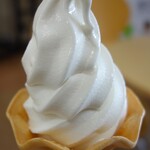 요코바타케 레이카