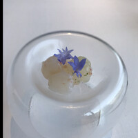 レストラン オオツ - ボタンエビのmariné   byまみこまみこ