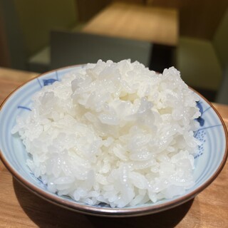 Lunch rice is freshly cooked and shiny