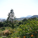 DJARM12 - 海が見下ろせる小高い丘の上