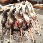 柳家 - １０月食事会　鮎も秋になって丸々太っています