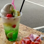 808ドットミニ イコマファーム - 808フロート