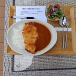 VIEW&CAFE SHINWA - ふぐと野菜カレー（サラダ付き）