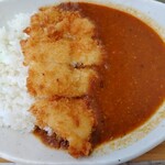 VIEW&CAFE SHINWA - ふぐと野菜カレー（サラダ付き）