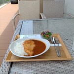 VIEW&CAFE SHINWA - ふぐと野菜カレー（サラダ付き）