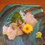 Ueno Yabu Kaneko - 春の旬、桜鯛とはたの刺身