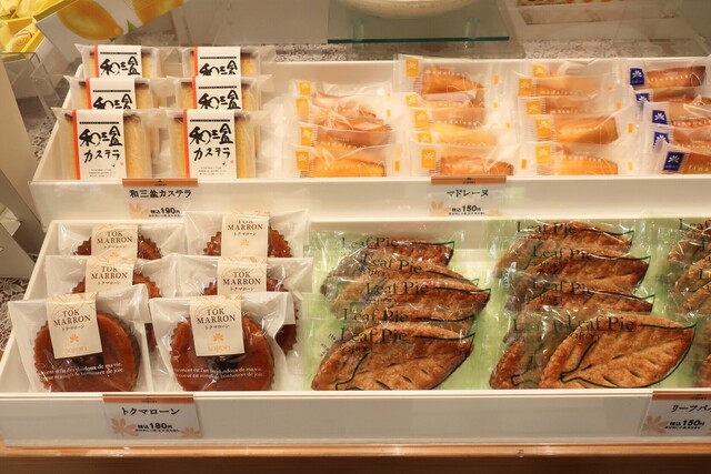 Yogashi no Saffron Terada Machi Ten