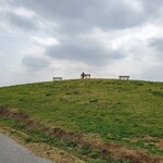 パークス野川 - 展望の丘