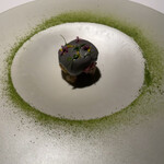 ブレストンコート ユカワタン - 