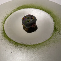 ブレストンコート ユカワタン - 